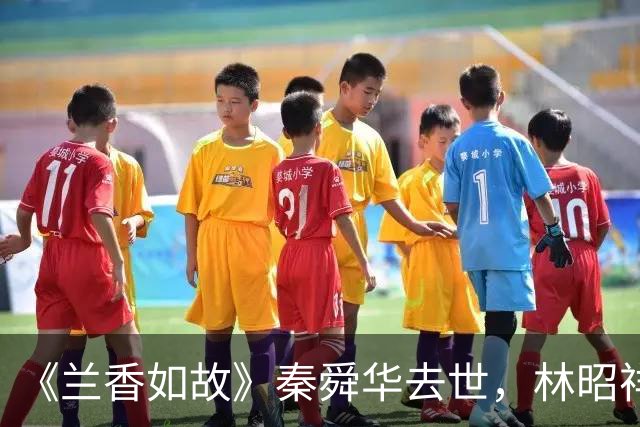 《兰香如故》秦舜华去世，林昭祥为什么披麻戴孝？这符合规矩吗
