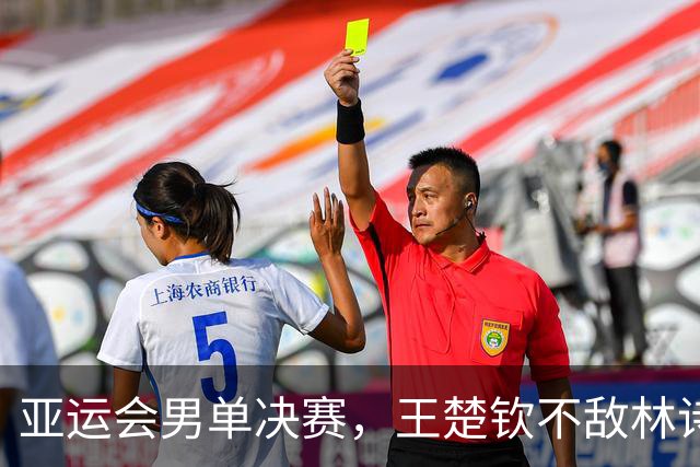 亚运会男单决赛，王楚钦不敌林诗栋，林诗栋拿下第3金