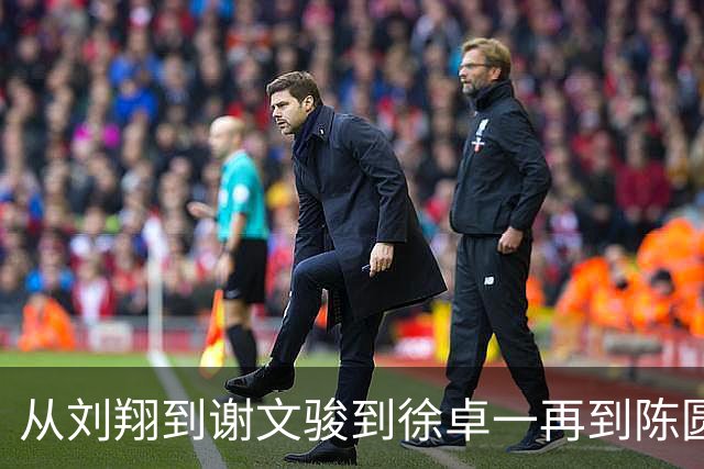 从刘翔到谢文骏到徐卓一再到陈圆将，13秒15，中国短跨的亚运遗憾被弥补了