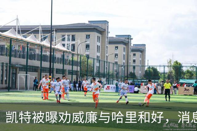 凯特被曝劝威廉与哈里和好，消息人士：这种难堪局面已无法维持