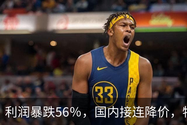 利润暴跌56％，国内接连降价，特斯拉的中国智驾何时兑现？