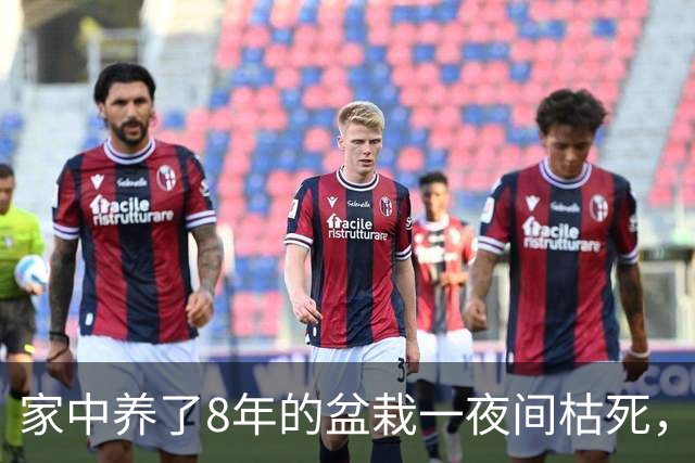 家中养了8年的盆栽一夜间枯死，询问道长才知道，这是为我挡了灾