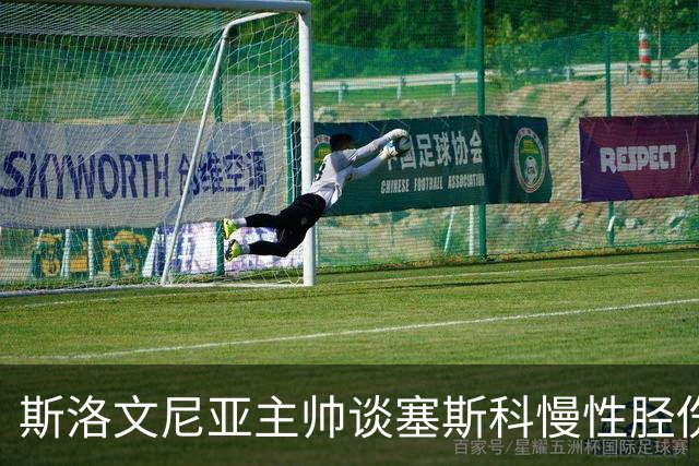 斯洛文尼亚主帅谈塞斯科"慢性"胫伤，曼联球迷要捏把汗