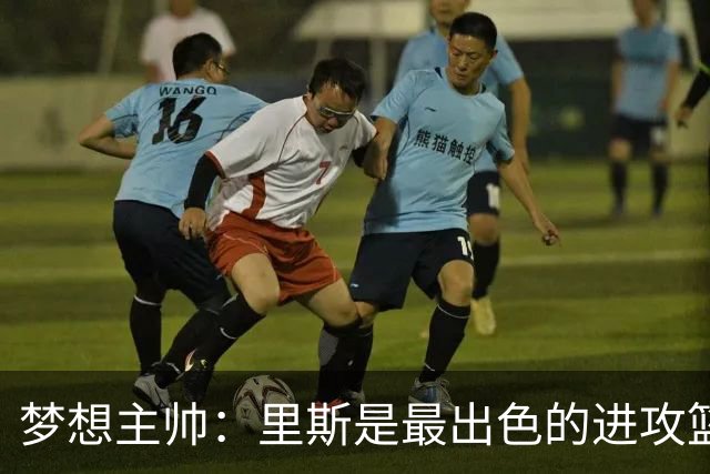 梦想主帅：里斯是最出色的进攻篮板手之一 她是球队的完美拼图