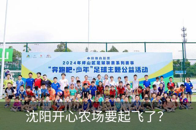 沈阳开心农场要起飞了？