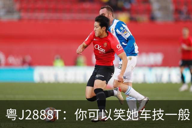 粤J2888T：你可以笑她车技一般，但别低估她的善良