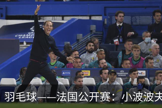 羽毛球——法国公开赛：小波波夫男单夺冠