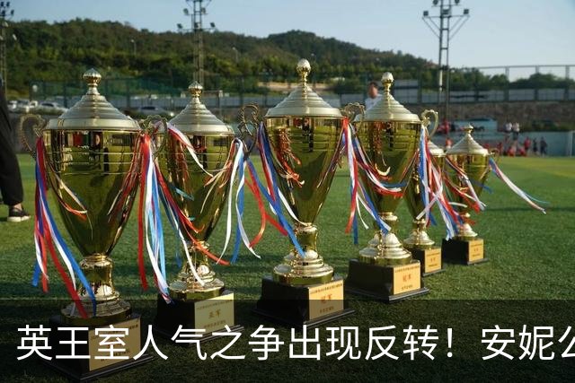 英王室人气之争出现反转！安妮公主升至榜首，威廉凯特不再领跑！