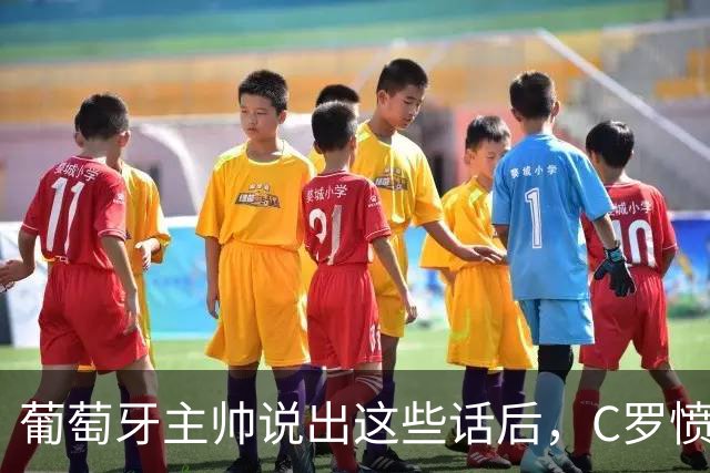 葡萄牙主帅说出这些话后，C罗愤而离开国家队
