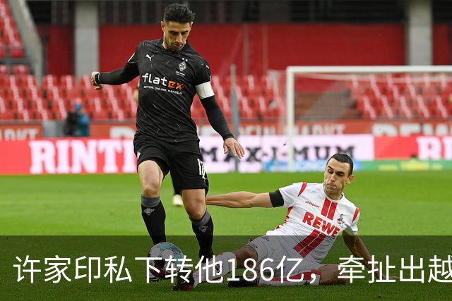 许家印私下转他186亿，牵扯出越来越多暗箱中的富豪