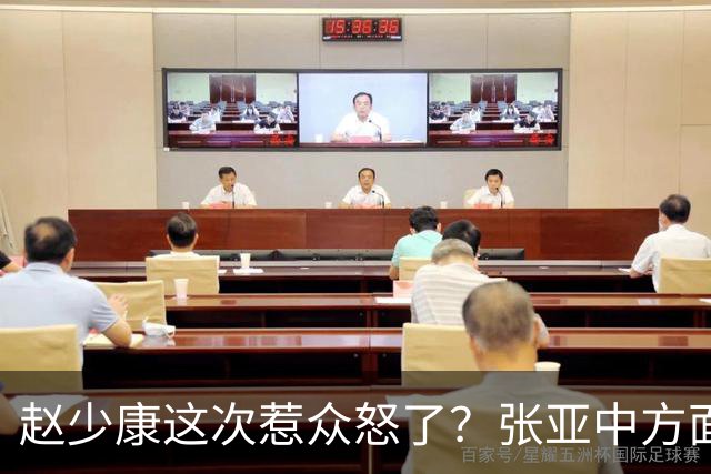 赵少康这次惹众怒了？张亚中方面直接翻旧账，郑丽文格局高下立判