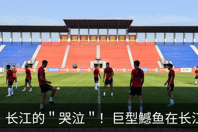 长江的＂哭泣＂！巨型鱤鱼在长江泛滥，十年禁渔却养虎为患？