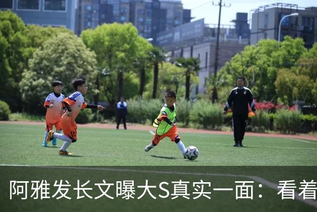 阿雅发长文曝大S真实一面：看着坚硬，心却比谁都软