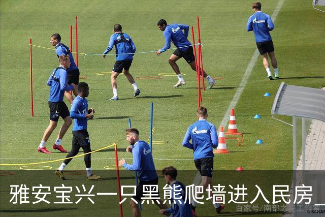 雅安宝兴一只黑熊爬墙进入民房 林业部门：事发城郊，已捕获将选偏远地方放归