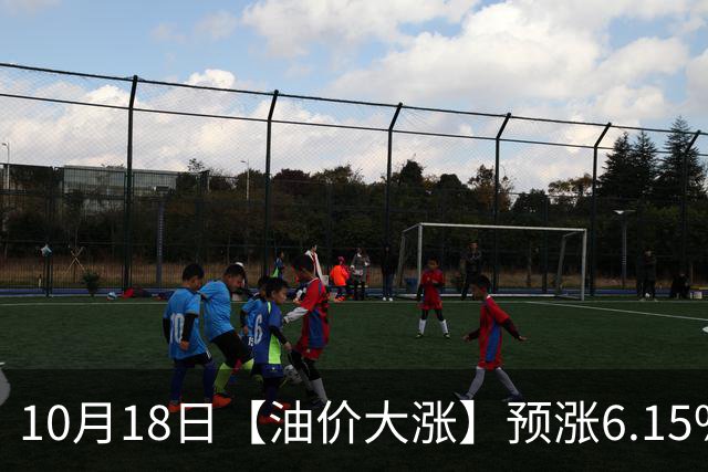 10月18日【油价大涨】预涨6.15%，全国92,95汽油“大涨近2.04元/升”后，继续上涨，下次10月29日调价，92汽油或接近“9元/升”！